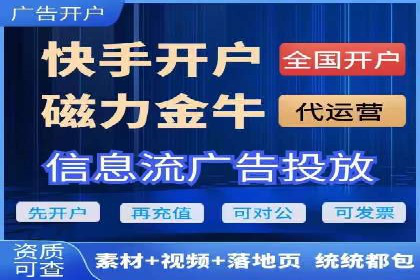 SEM广告投放的精准定位与优化案例